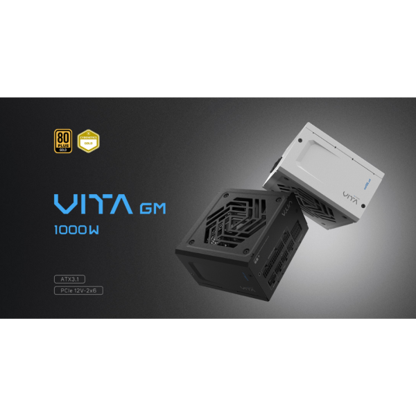 FSP VITA GM 80+ GOLD ATX 3.1 Power Supply Sale